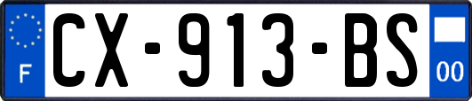 CX-913-BS