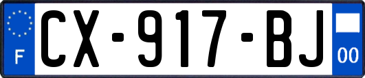 CX-917-BJ