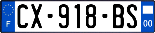 CX-918-BS