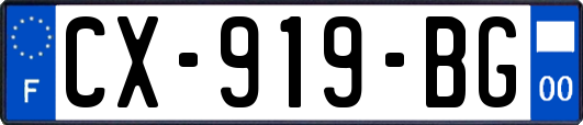 CX-919-BG