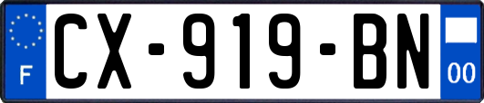 CX-919-BN