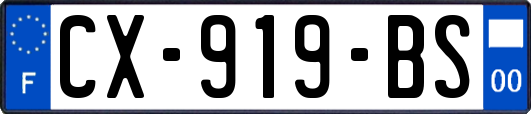 CX-919-BS