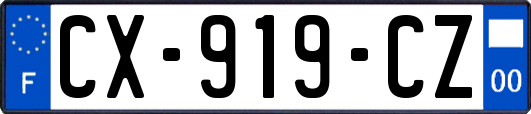 CX-919-CZ