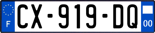 CX-919-DQ