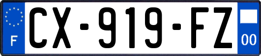 CX-919-FZ