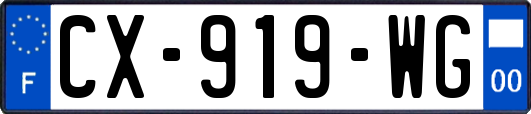 CX-919-WG