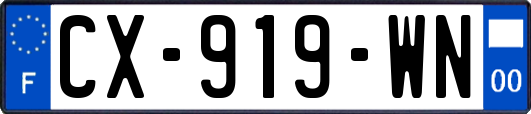 CX-919-WN