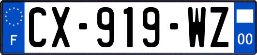 CX-919-WZ