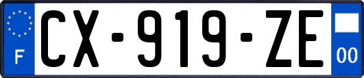 CX-919-ZE