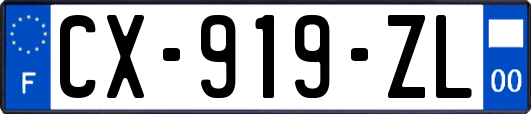 CX-919-ZL