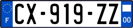 CX-919-ZZ