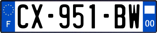 CX-951-BW