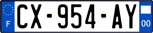 CX-954-AY