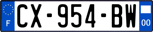 CX-954-BW