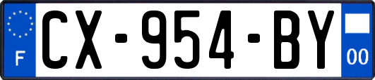 CX-954-BY