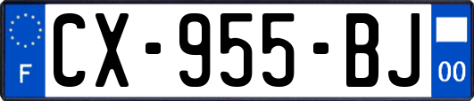 CX-955-BJ