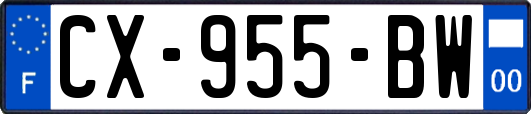 CX-955-BW