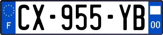 CX-955-YB