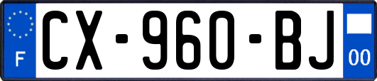 CX-960-BJ