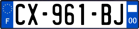 CX-961-BJ