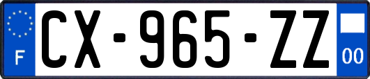 CX-965-ZZ