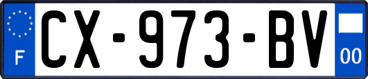 CX-973-BV