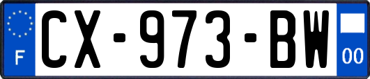 CX-973-BW