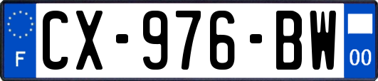 CX-976-BW