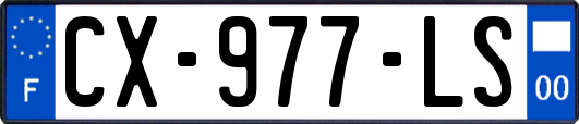 CX-977-LS