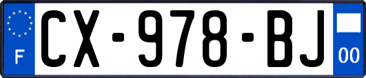 CX-978-BJ