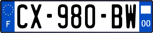 CX-980-BW