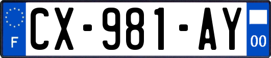 CX-981-AY