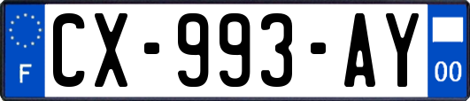 CX-993-AY