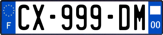 CX-999-DM