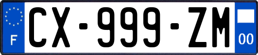 CX-999-ZM