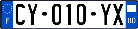 CY-010-YX