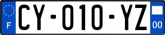 CY-010-YZ