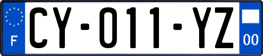 CY-011-YZ