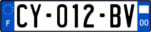 CY-012-BV