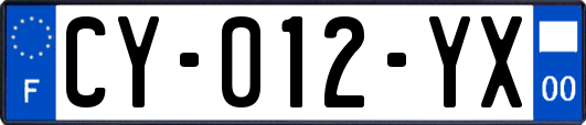 CY-012-YX