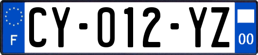 CY-012-YZ