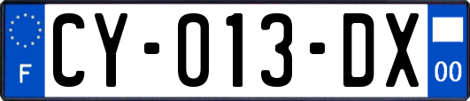 CY-013-DX