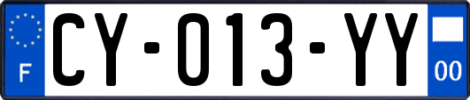 CY-013-YY