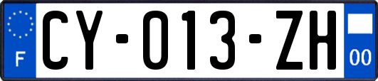CY-013-ZH