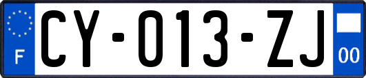 CY-013-ZJ