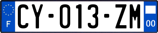 CY-013-ZM