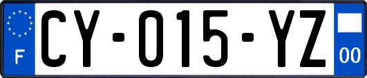 CY-015-YZ