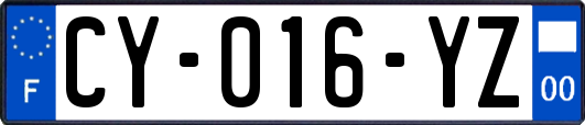 CY-016-YZ
