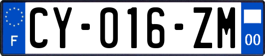 CY-016-ZM