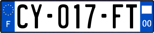 CY-017-FT